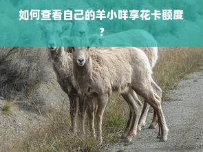 如何查看自己的羊小咩享花卡额度？