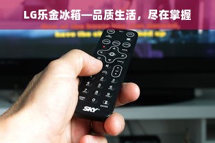 LG乐金冰箱—品质生活，尽在掌握
