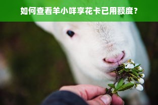 京东白条额度如何套出来商家，咋样提升京东白条额度？