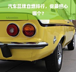 汽车品牌自燃排行，你最担心哪个？