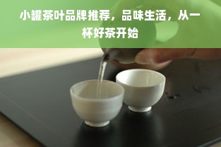 小罐茶叶品牌推荐，品味生活，从一杯好茶开始