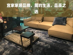 宜家家居品牌，简约生活，品质之选