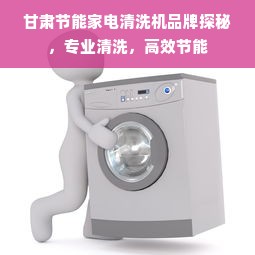 甘肃节能家电清洗机品牌探秘，专业清洗，高效节能