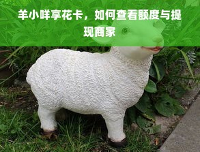 羊小咩享花卡，如何查看额度与提现商家