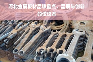 河北金属板材品牌盘点，品质与创新的佼佼者