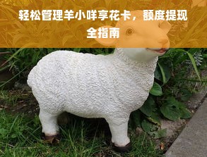 轻松管理羊小咩享花卡，额度提现全指南
