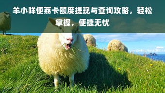 羊小咩便荔卡额度提现与查询攻略，轻松掌握，便捷无忧