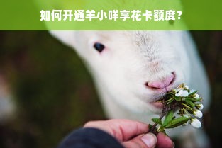 如何开通羊小咩享花卡额度？