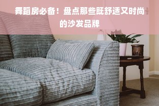 舞蹈房必备！盘点那些既舒适又时尚的沙发品牌