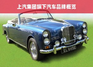 上汽集团旗下汽车品牌概览