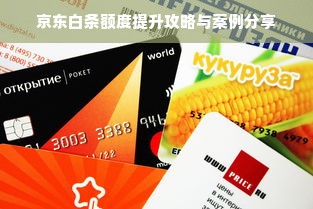 京东白条额度提升攻略与案例分享