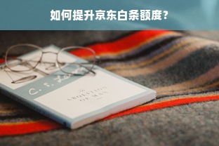 京东白条额度怎么套出来？如何查看京东白条额度高低