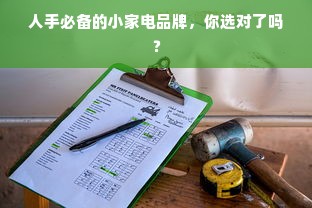 人手必备的小家电品牌，你选对了吗？