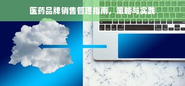医药品牌销售管理指南，策略与实践