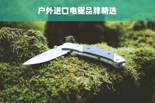 户外进口电锯品牌精选