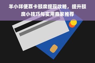 羊小咩便荔卡额度提现攻略，提升额度小技巧与实用商家推荐