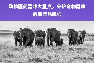 动物医药品牌大盘点，守护宠物健康的那些品牌们