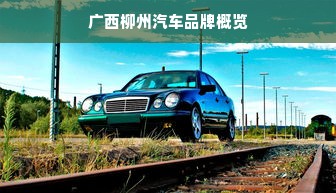 广西柳州汽车品牌概览