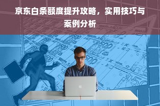 京东白条额度提升攻略，实用技巧与案例分析