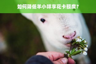 如何降低羊小咩享花卡额度？
