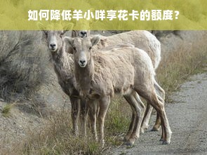 如何降低羊小咩享花卡的额度？