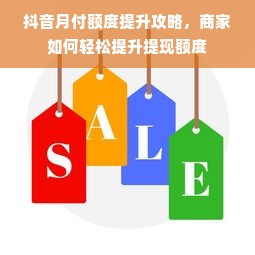 抖音月付额度提升攻略，商家如何轻松提升提现额度