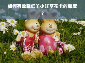 如何有效降低羊小咩享花卡的额度？