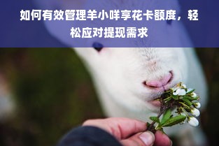 如何有效管理羊小咩享花卡额度，轻松应对提现需求