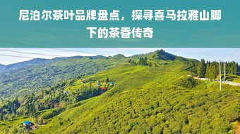 尼泊尔茶叶品牌盘点，探寻喜马拉雅山脚下的茶香传奇