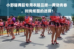 小野猫舞蹈专用衣服品牌—舞动青春，时尚炫酷的选择！