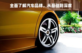 全面了解汽车品牌，从基础到深度