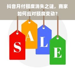 抖音月付额度消失之谜，商家如何应对额度变动？
