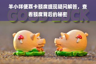 羊小咩便荔卡额度提现疑问解答，查看额度背后的秘密