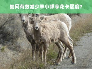 如何有效减少羊小咩享花卡额度？