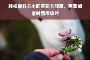 轻松提升羊小咩享花卡额度，商家加临时额度攻略