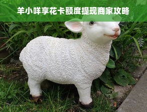 羊小咩享花卡额度提现商家攻略