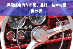 探索纯电汽车市场，品牌、技术与案例分析