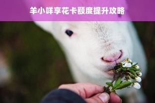 羊小咩享花卡额度提升攻略