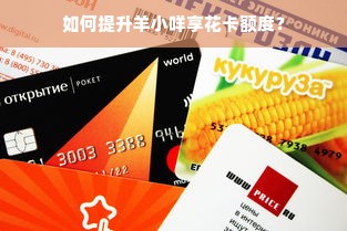 如何提升羊小咩享花卡额度？