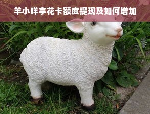 羊小咩享花卡额度提现及如何增加