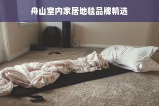 舟山室内家居地毯品牌精选