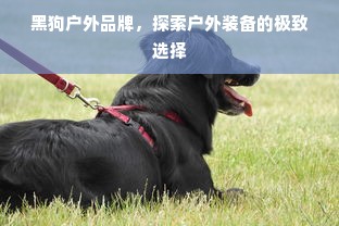 黑狗户外品牌，探索户外装备的极致选择