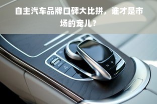 自主汽车品牌口碑大比拼，谁才是市场的宠儿？