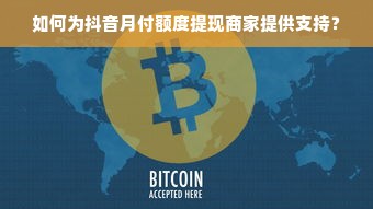 如何为抖音月付额度提现商家提供支持？