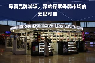 母婴品牌游学，深度探索母婴市场的无限可能