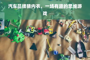 汽车品牌猜内衣，一场有趣的思维游戏