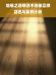 地板之选精选木地板品牌店名与案例分析