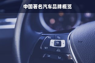 中国著名汽车品牌概览