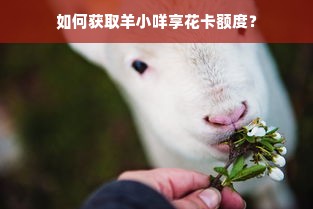 如何获取羊小咩享花卡额度？