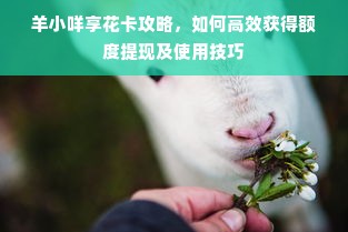 羊小咩享花卡攻略，如何高效获得额度提现及使用技巧